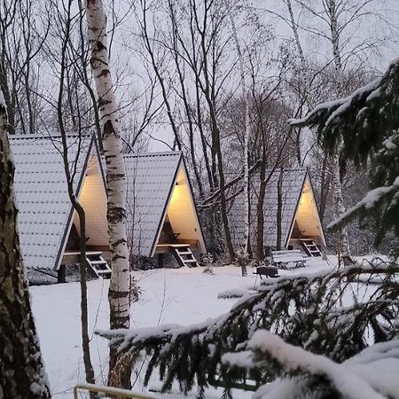 Vigio Brasta Camping Elektrenai Exteriör bild