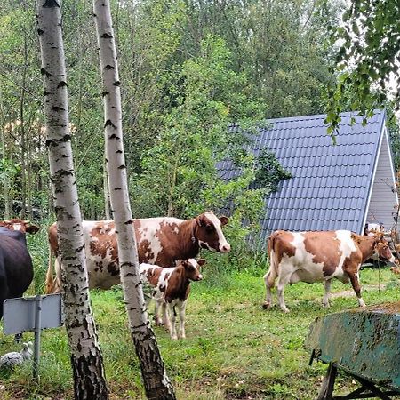 Vigio Brasta Camping Elektrenai Exteriör bild