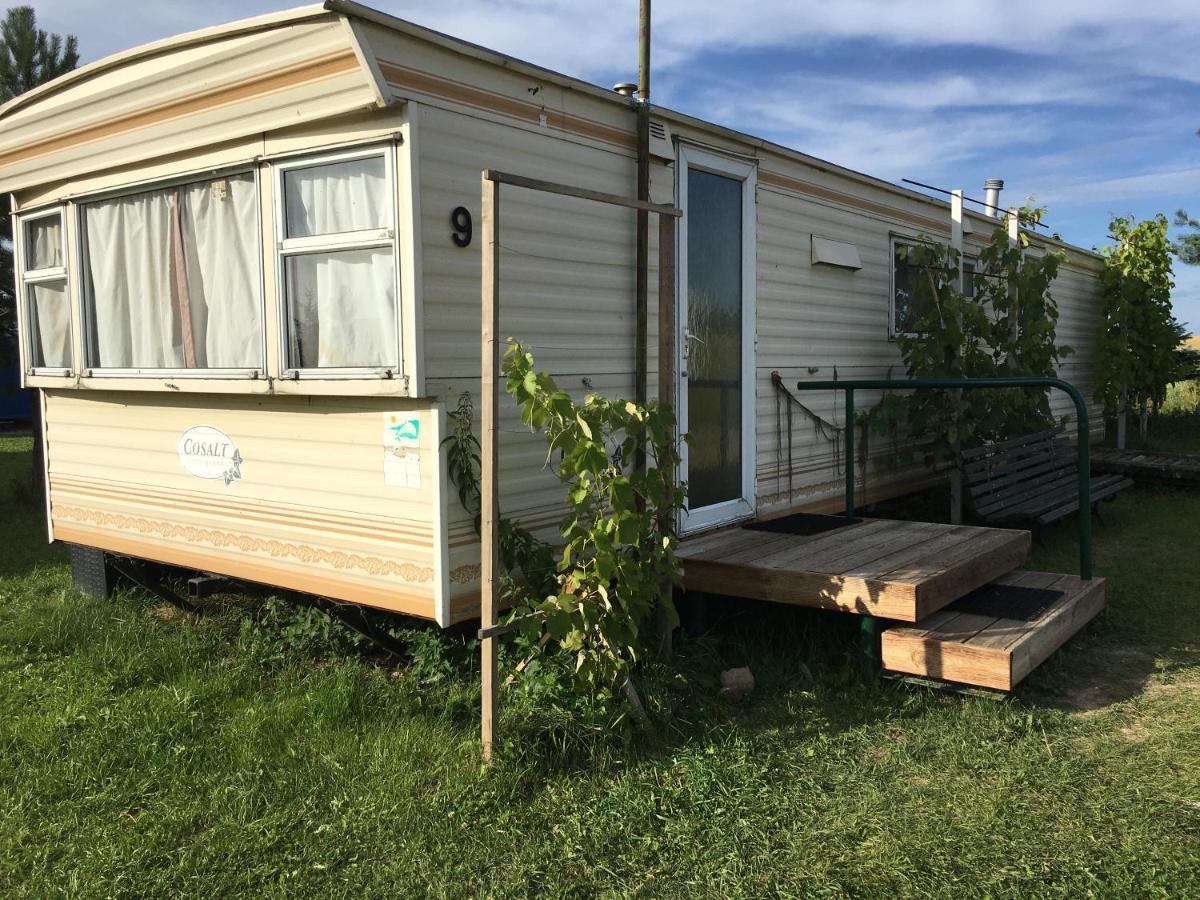 Vigio Brasta Camping Elektrenai Exteriör bild