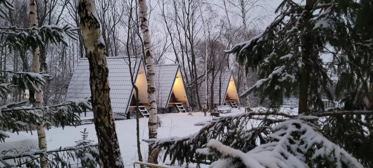 Vigio Brasta Camping Elektrenai Exteriör bild