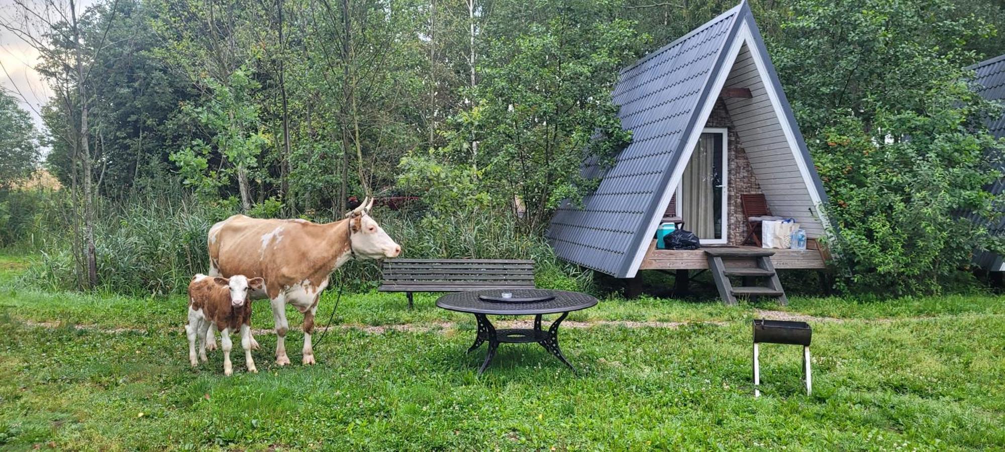 Vigio Brasta Camping Elektrenai Exteriör bild